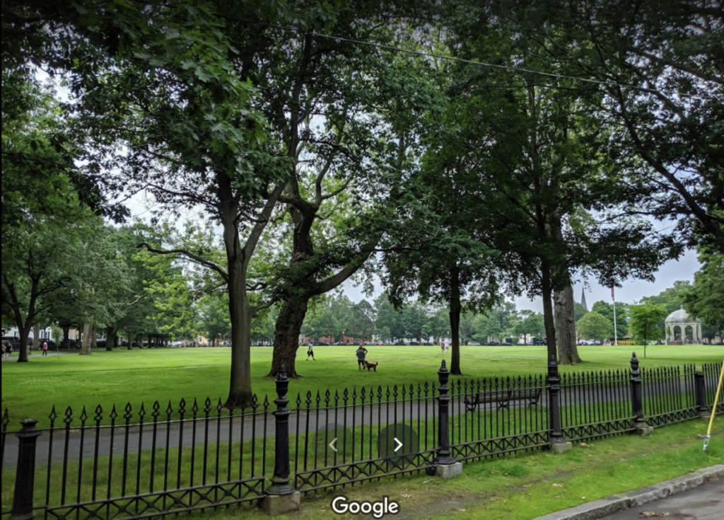 Washington Square in Salem (photo credit: Google Maps)