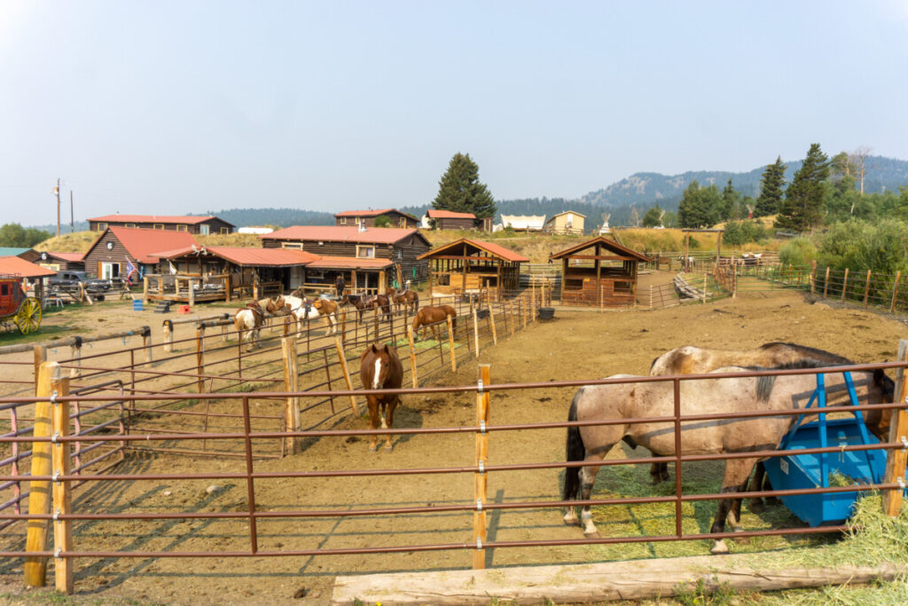 The Horses at Heart 6 Ranch
